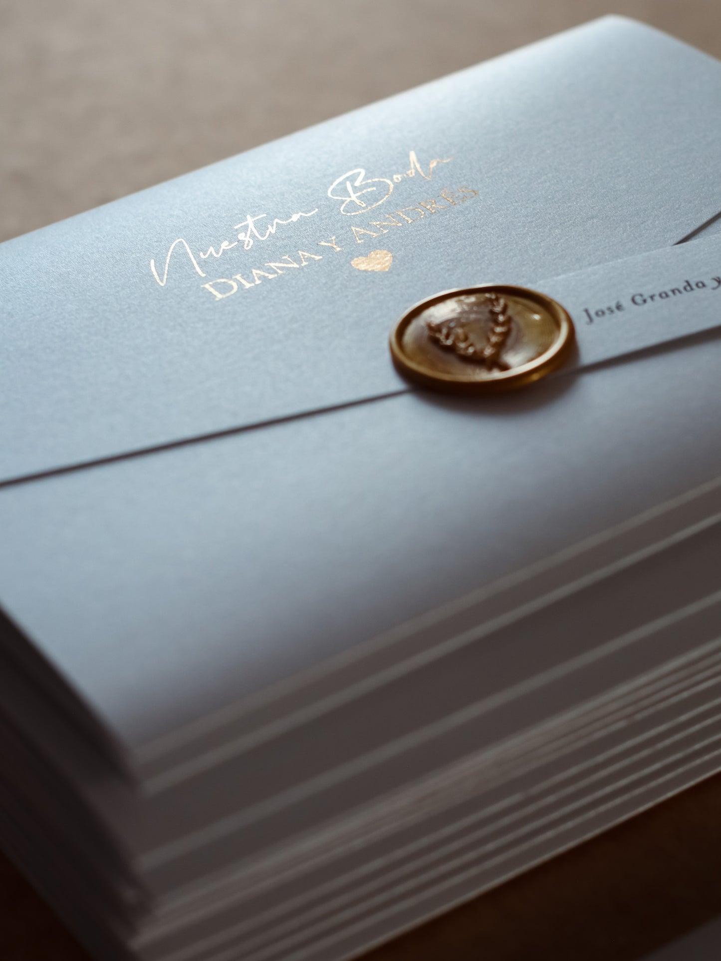 Invitación de Boda Pegasus