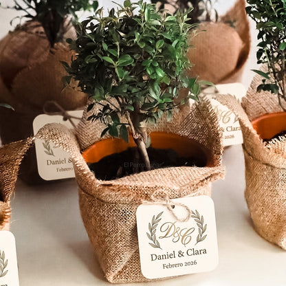 Recuerdo de Boda mini árboles