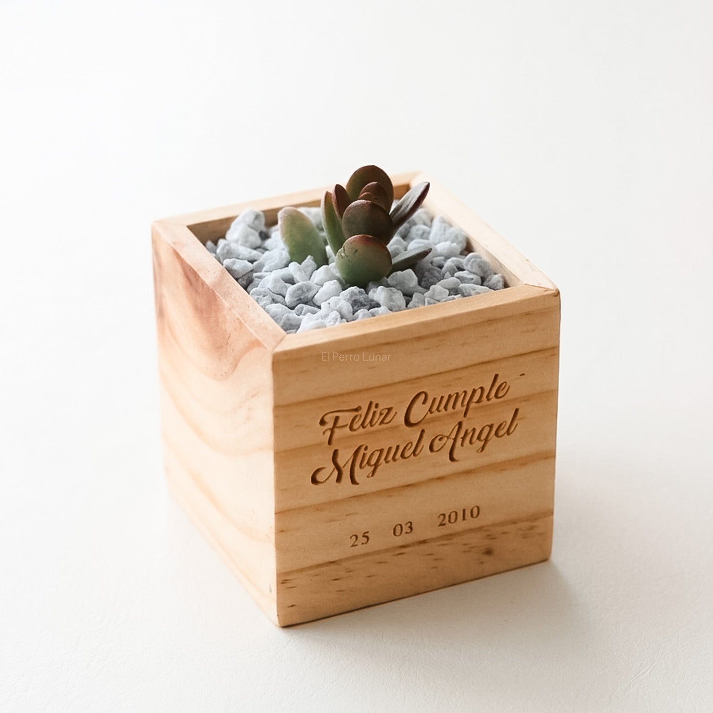 Regalo Cumpleaños Maceta de Madera Tallada