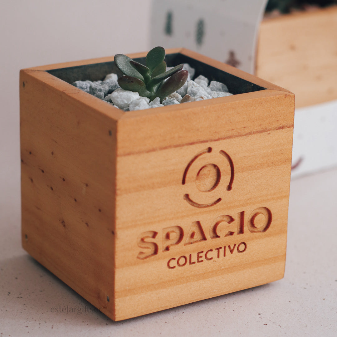 Regalo Maceta de Madera Tallada Empresas